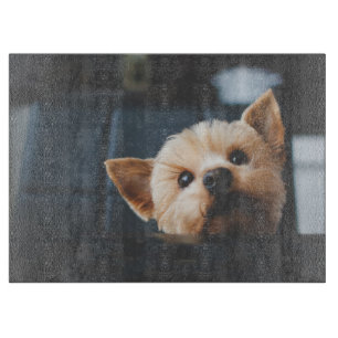 Cute Yorkshire Terrier Puppy Dog Cutting Board