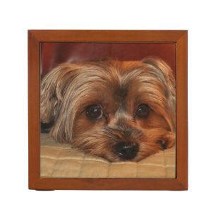 Cute Yorkshire Terrier Puppy Dog Desk Organizer