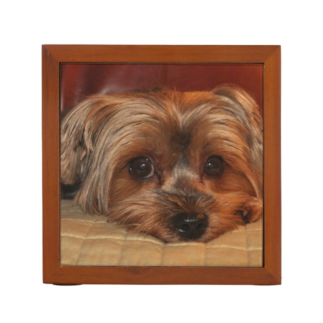 Cute Yorkshire Terrier Puppy Dog Desk Organizer (Front)
