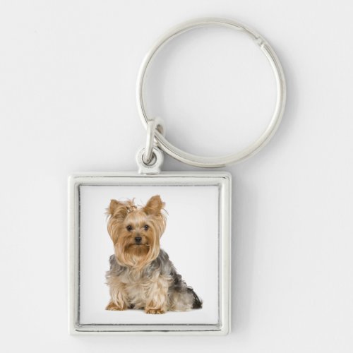 Cute Yorkshire Terrier Puppy Dog Key Chain