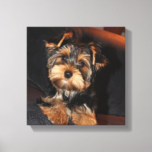 Cute Yorkshire Terrier Puppy Dog Metal Print