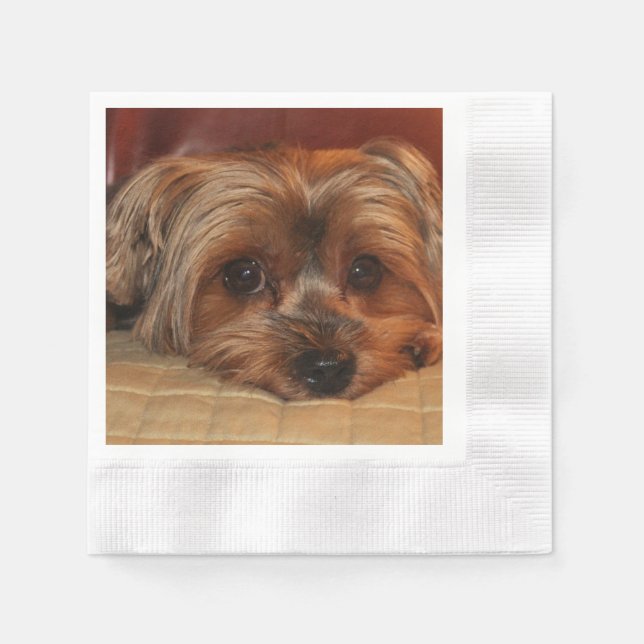 Cute Yorkshire Terrier Puppy Dog Napkins (Front)