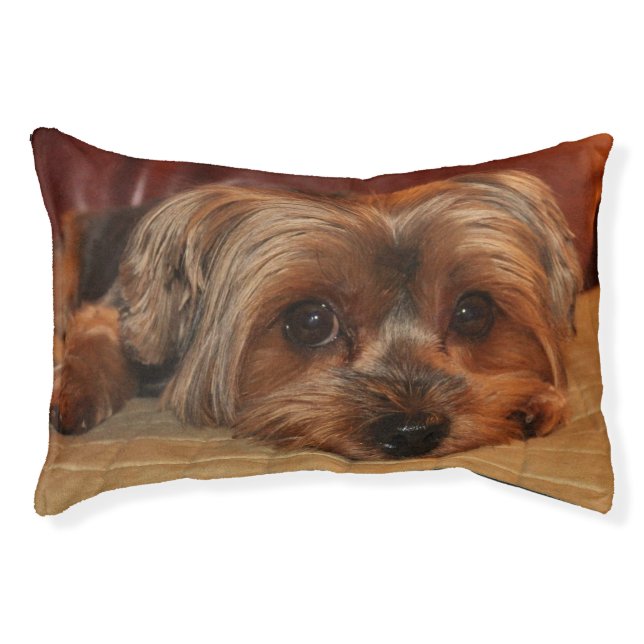 Cute Yorkshire Terrier Puppy Dog Pet Bed (Front)