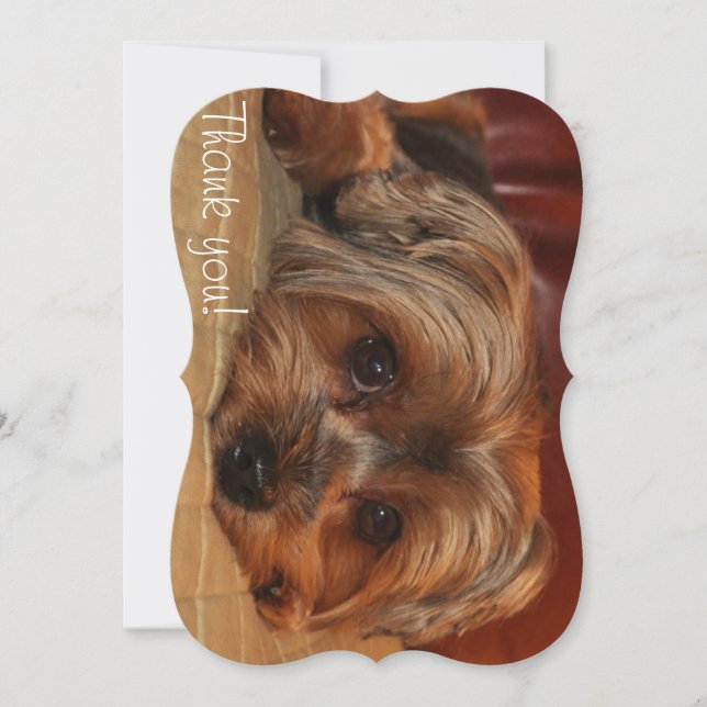 Cute Yorkshire Terrier Puppy Dog Thank You Card (Front)