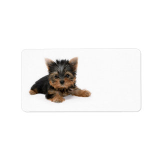 Cute Yorkshire Terrier Puppy Label
