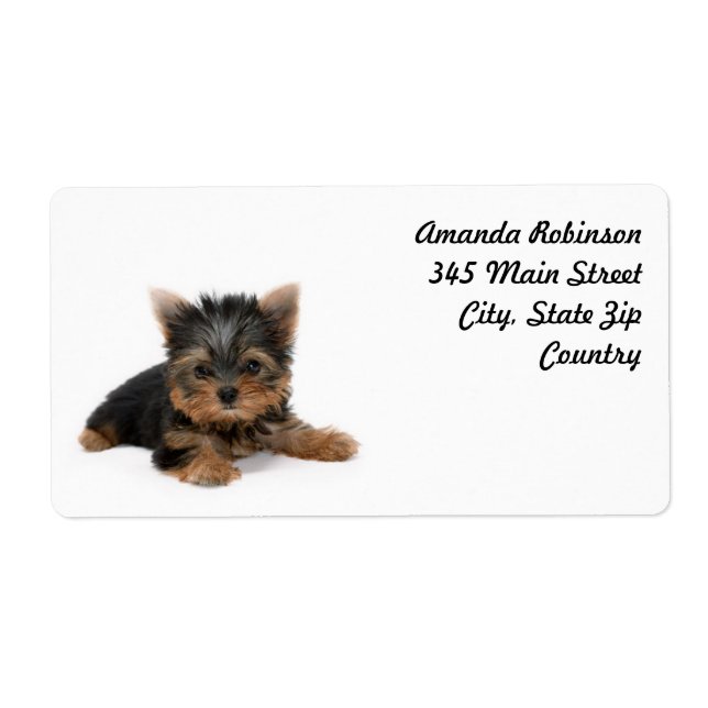 Cute Yorkshire Terrier Puppy Label (Front)
