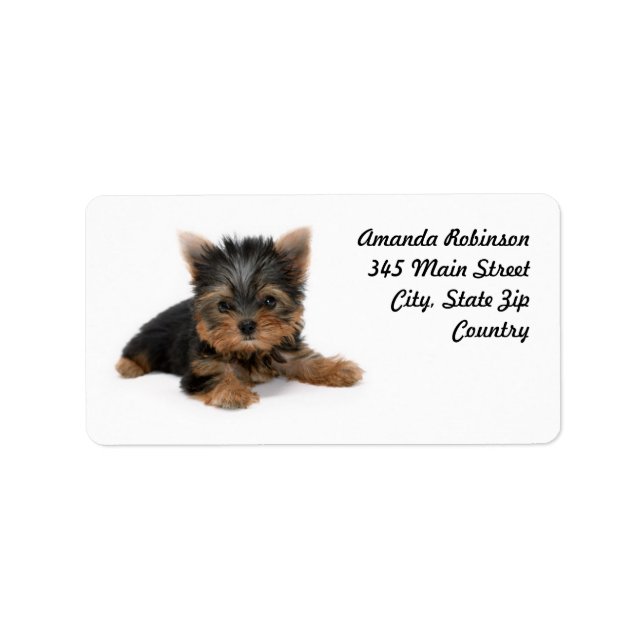 Cute Yorkshire Terrier Puppy Label (Front)