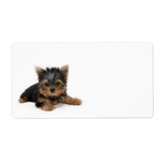 Cute Yorkshire Terrier Puppy Label