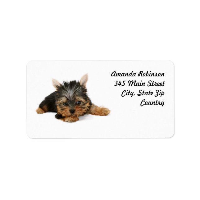 Cute Yorkshire Terrier Puppy Label (Front)