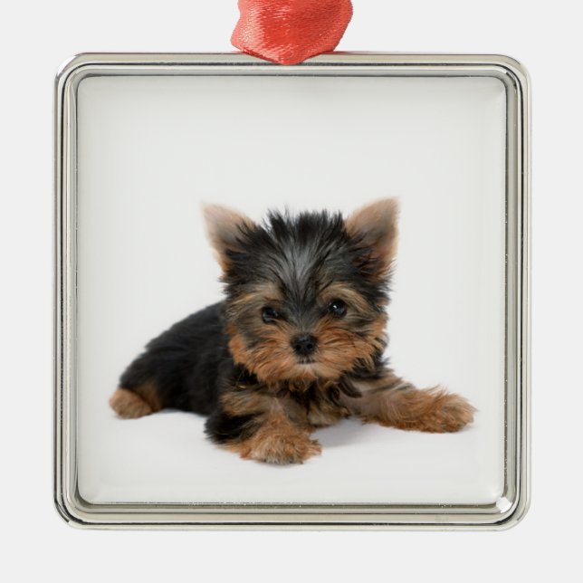 Cute Yorkshire Terrier Puppy Metal Ornament (Front)