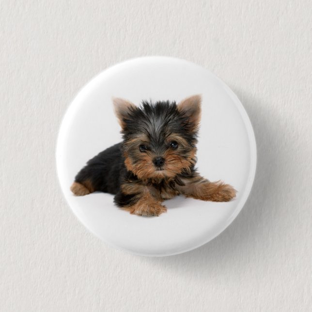Cute Yorkshire Terrier Puppy Pinback Button (Front)