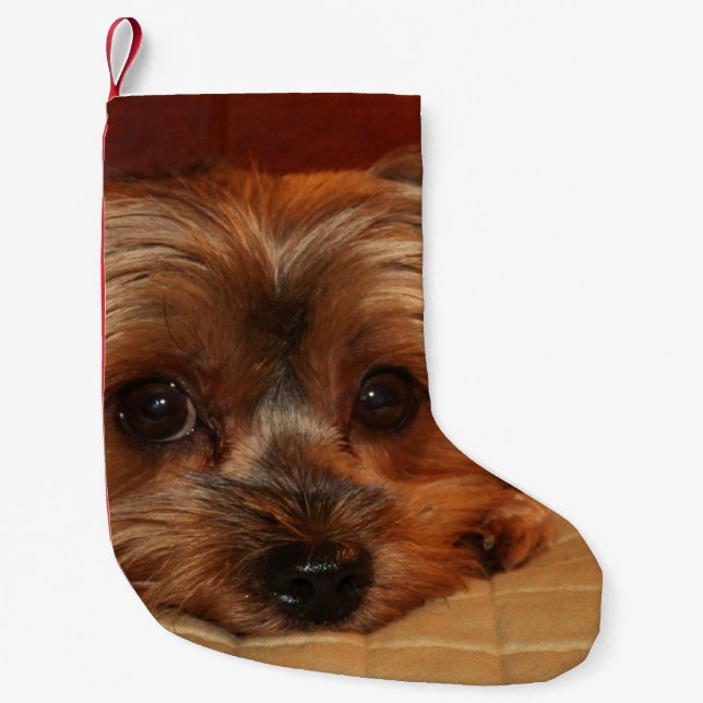 Cute Yorkshire Terrier Puppy Small Christmas Stocking (Front)