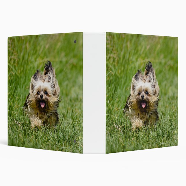 Cute Yorkshire Terrier Running Through Grass 3 Ring Binder (Background)
