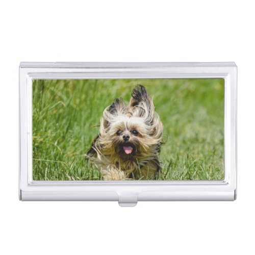 Cute Yorkshire Terrier Running Through Grass Business Card Case