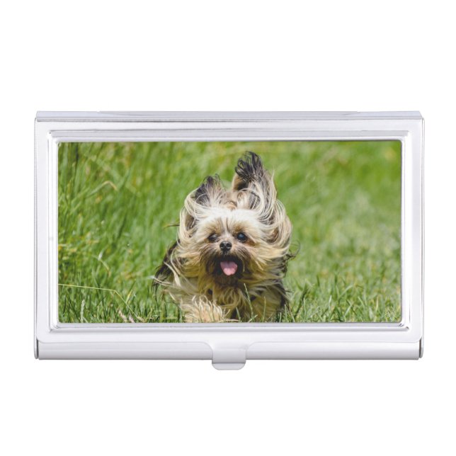 Cute Yorkshire Terrier Running Through Grass Business Card Case (Front)