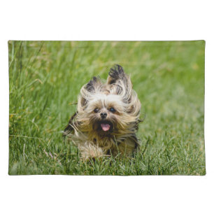 Cute Yorkshire Terrier Running Through Grass Cloth Placemat