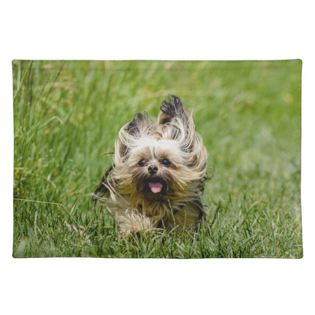 Cute Yorkshire Terrier Running Through Grass Cloth Placemat (Front)