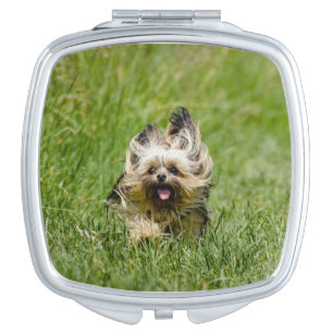 Cute Yorkshire Terrier Running Through Grass Compact Mirror