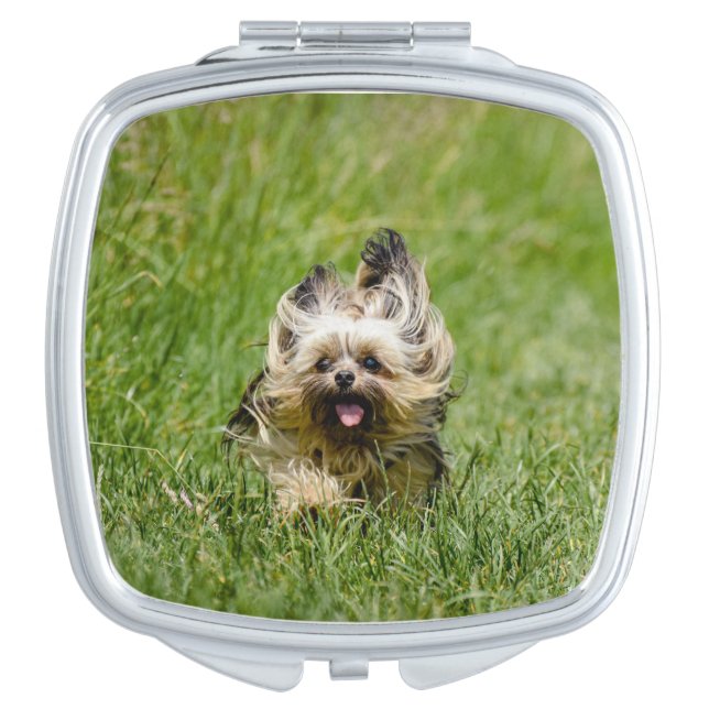 Cute Yorkshire Terrier Running Through Grass Compact Mirror (Front)