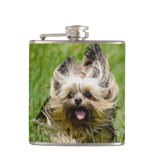 Cute Yorkshire Terrier Running Through Grass Flask