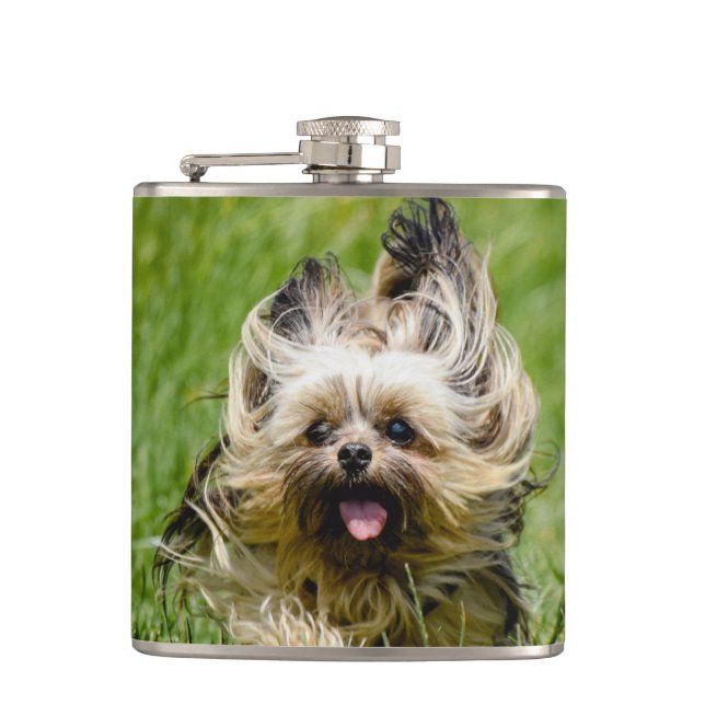 Cute Yorkshire Terrier Running Through Grass Flask (Front)