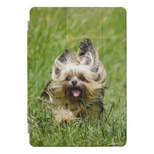 Cute Yorkshire Terrier Running Through Grass iPad Pro Cover