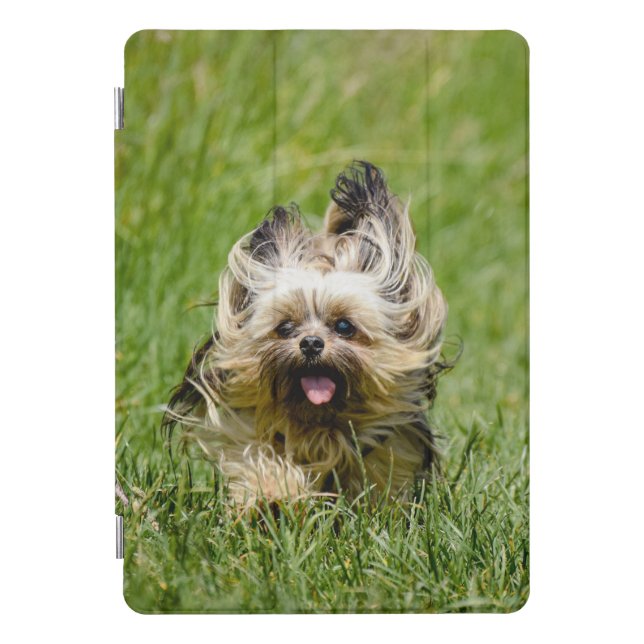 Cute Yorkshire Terrier Running Through Grass iPad Pro Cover (Front)