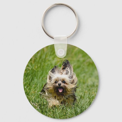 Cute Yorkshire Terrier Running Through Grass Keychain