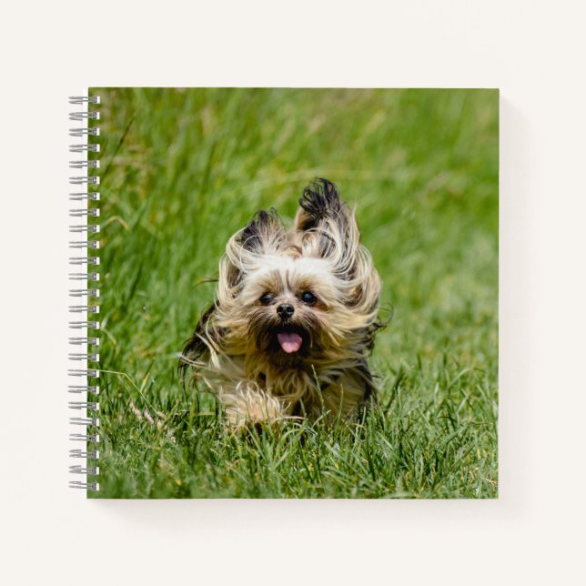 Cute Yorkshire Terrier Running Through Grass Notebook (Front)
