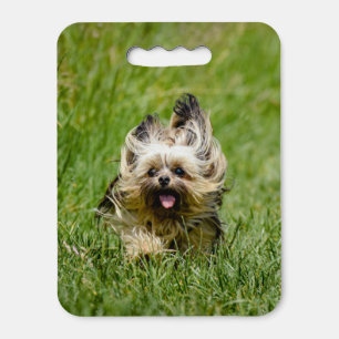 Cute Yorkshire Terrier Running Through Grass Seat Cushion