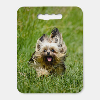 Cute Yorkshire Terrier Running Through Grass Seat Cushion