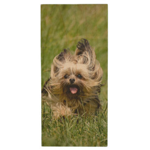 Cute Yorkshire Terrier Running Through Grass Wood Flash Drive