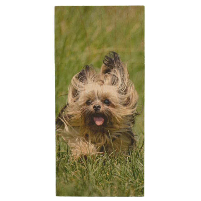 Cute Yorkshire Terrier Running Through Grass Wood Flash Drive (Front Vertical)