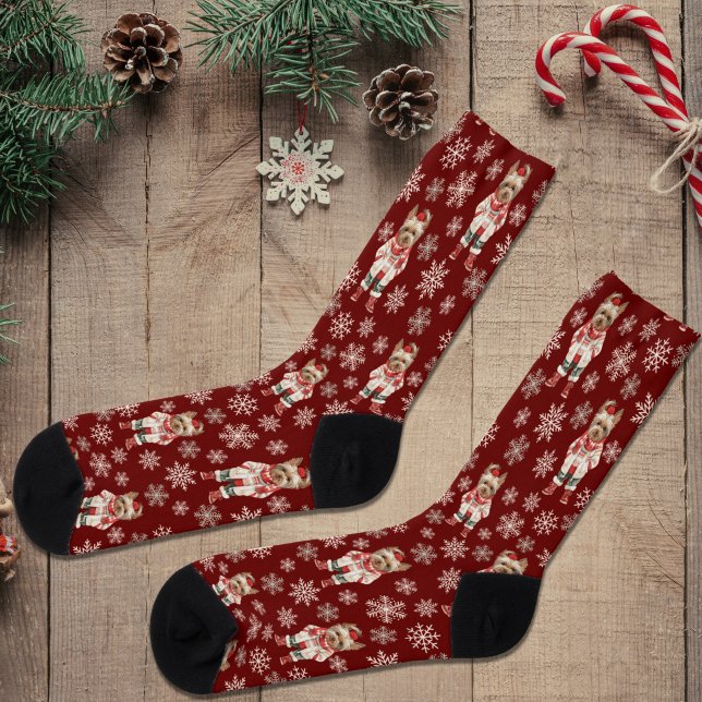 Cute Yorkshire Terrier Winter Burgundy Socks (Creator Uploaded)