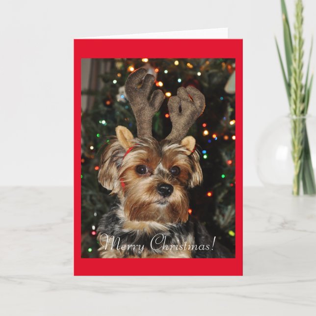 Cute Yorkshire Terrier with Reindeer Antlers Holiday Card (Front)