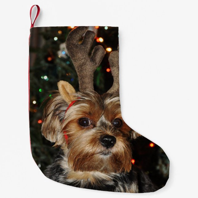 Cute Yorkshire Terrier with Reindeer Antlers Small Christmas Stocking (Front)