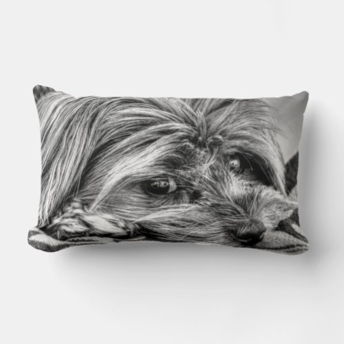 Cute Yorkshire Terrier Yorkie Black and White Art Lumbar Pillow