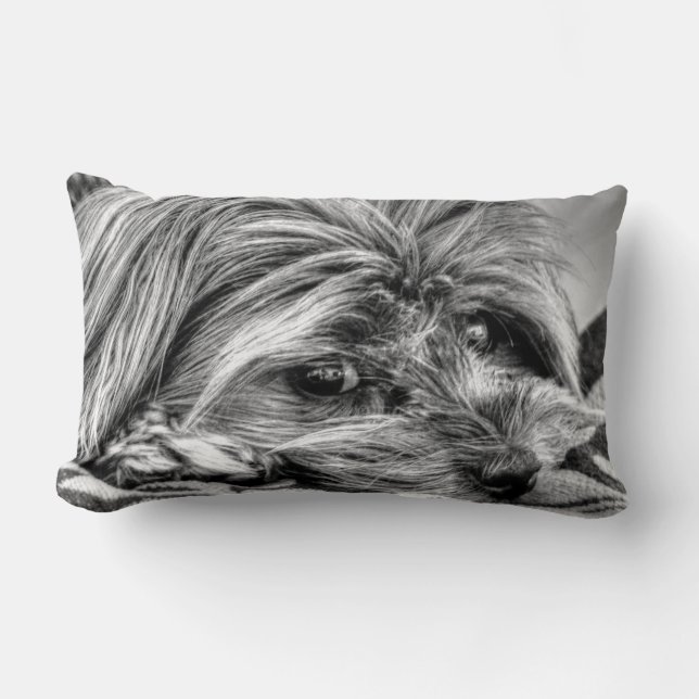 Cute Yorkshire Terrier Yorkie Black and White Art Lumbar Pillow (Front)