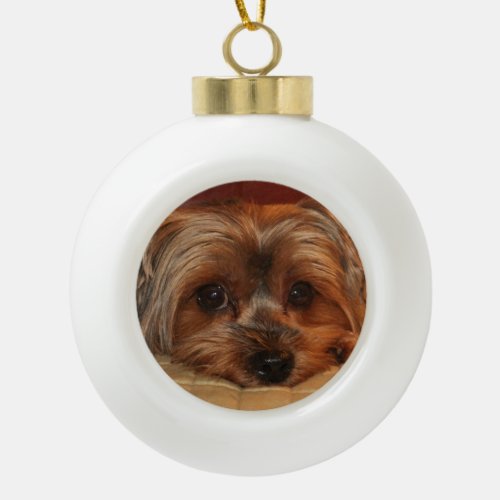 Cute Yorkshire Terrier  Yorkie Dog   Ceramic Ball Christmas Ornament