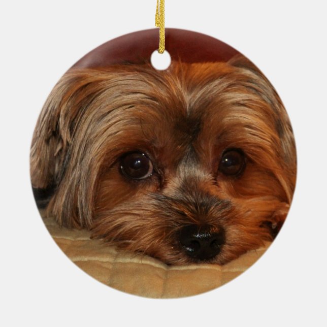 Cute Yorkshire Terrier  Yorkie Dog  Ceramic Ornament (Back)