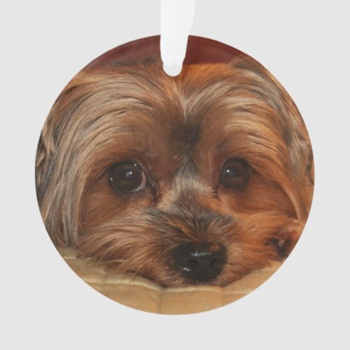 Cute Yorkshire Terrier  Yorkie Dog Ornament