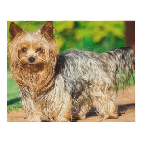 Cute Yorkshire Terrier Yorkie Dog Puppy Faux Canvas Print