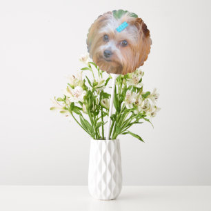 Cute Yorkshire Terrier Yorkie Favourite Breed Balloon