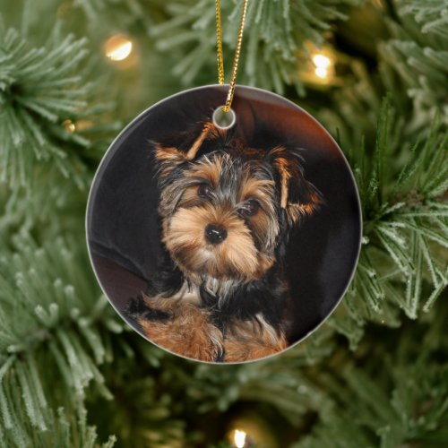 Cute Yorkshire Terrier Yorkie Puppy Dog Ceramic Ornament