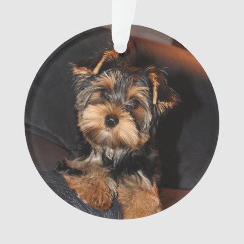 Cute Yorkshire Terrier Yorkie Puppy Dog  Ornament