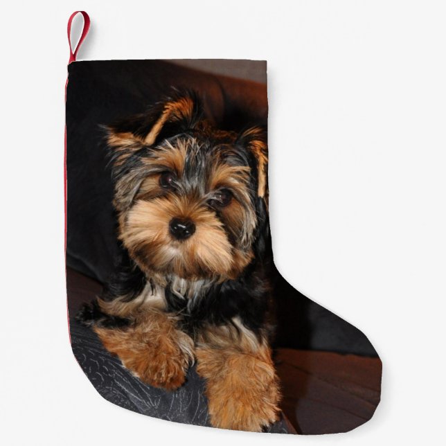 Cute Yorkshire Terrier Yorkie Puppy Dog Small Christmas Stocking (Front)