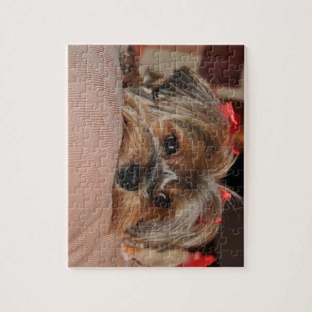 Cute Yorkshire Terrier Yorkie with Red Bows Jigsaw Puzzle (Vertical)