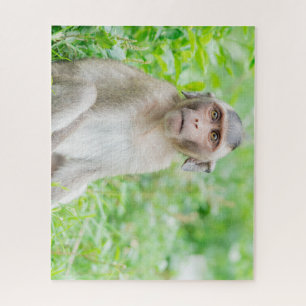 Cute Young Brown Spider Monkey Jigsaw Puzzle