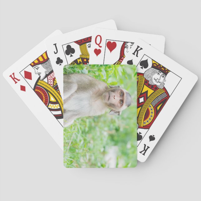 Cute Young Brown Spider Monkey Poker Cards (Back)