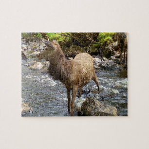 Cute Young Deer by River Scene Forest Wildlife Jigsaw Puzzle
